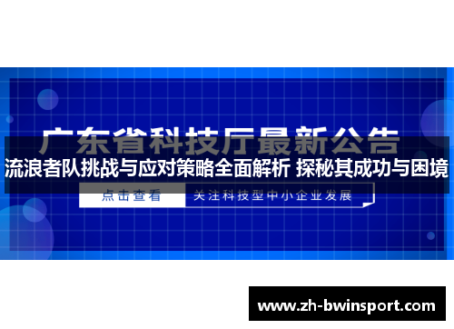 流浪者队挑战与应对策略全面解析 探秘其成功与困境